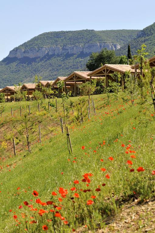 Domaine Saint Esteve Millau Habitación foto